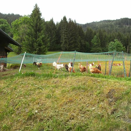 Hotel Gaestehaus Zum Tauern Radstadt Zewnętrze zdjęcie