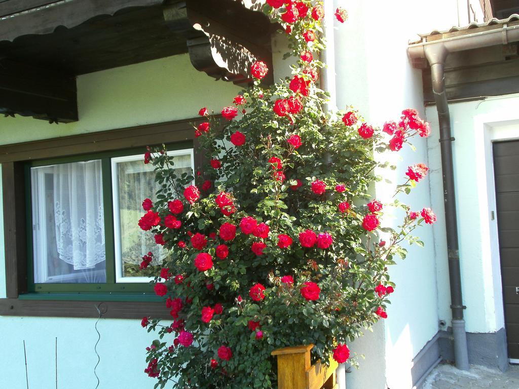 Hotel Gaestehaus Zum Tauern Radstadt Zewnętrze zdjęcie