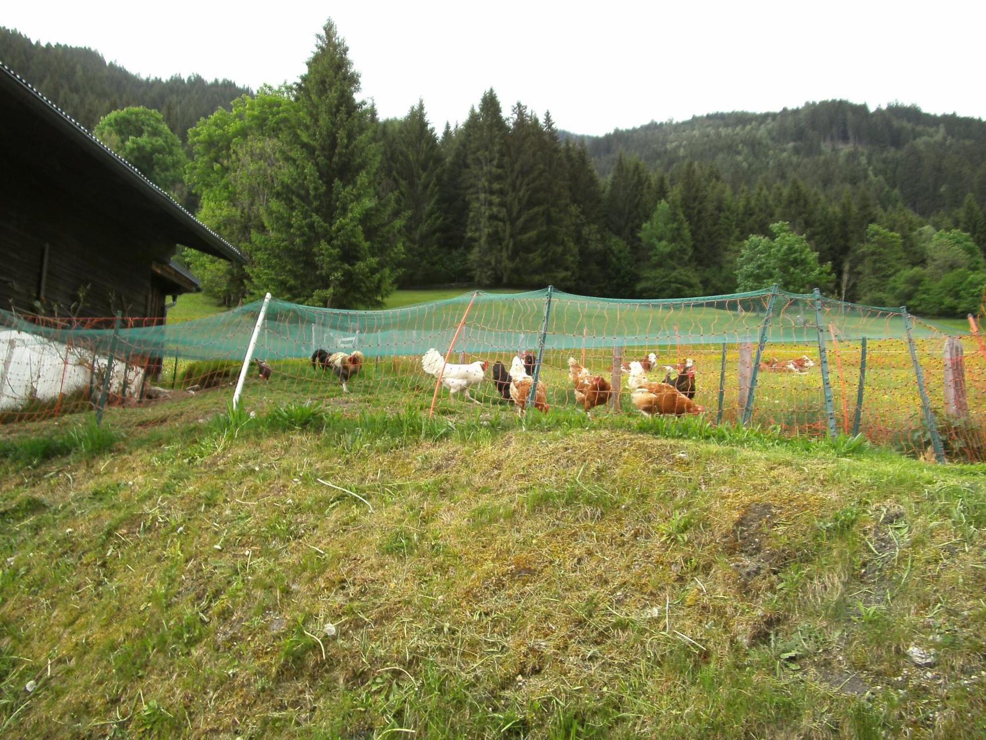 Hotel Gaestehaus Zum Tauern Radstadt Zewnętrze zdjęcie